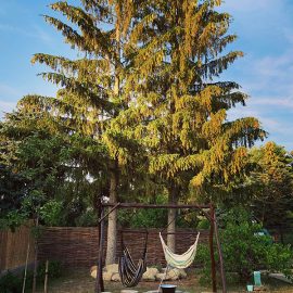 Poplar Vendégház 07